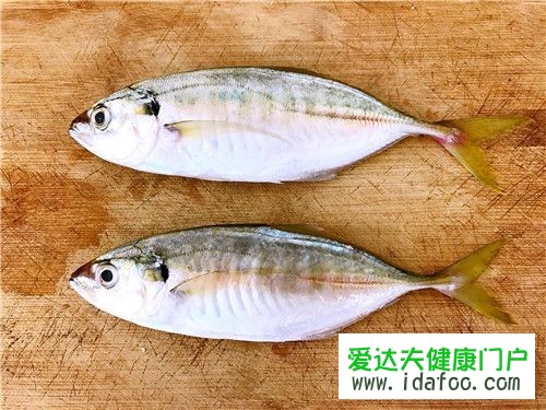 竹荚鱼是巴浪鱼吗 竹荚鱼的营养价值