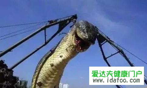 长江三峡大坝灵异事件 传闻巨蛇被封印其中