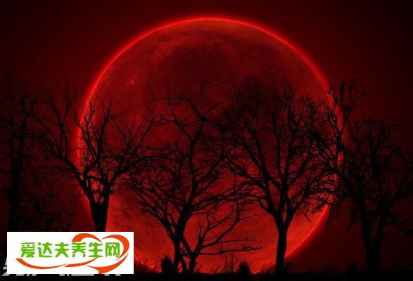 看见红月亮有什么预兆 揭秘血月出来了会发生什么