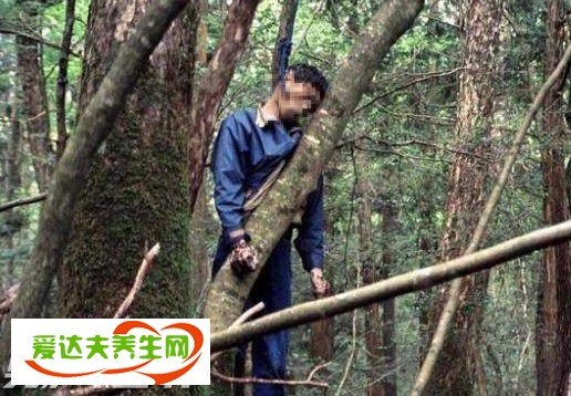 日本自杀森林是怎么回事 青木原树海死人图片好吓人