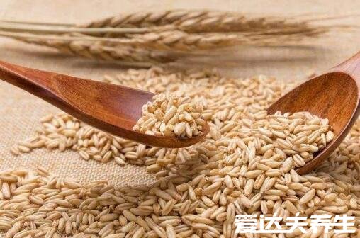 越吃越瘦的10种杂粮排行，燕麦减肥最合适(荞麦排第8)