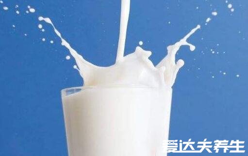 喝牛奶记住4个最佳时间，早上喝牛奶最利于吸收
