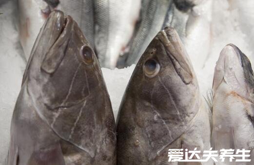 巴沙鱼为什么不能吃，四大原因要注意