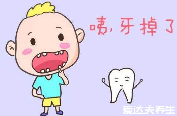 儿童换牙顺序图，儿童换牙期的四个事项一定要注意