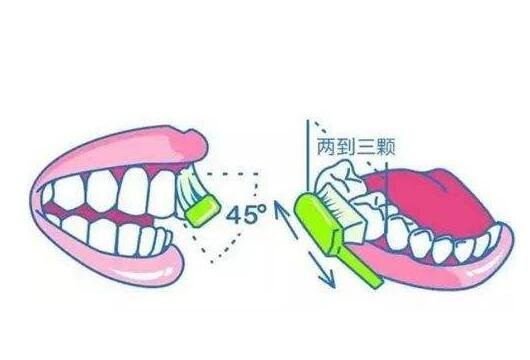 教你快速掌握巴氏刷牙法，全网最详细的步骤解析