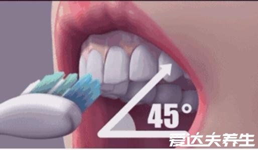 巴氏刷牙法的精髓是倾斜45°刷，教你快速掌握科学刷牙(附视频)