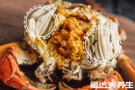 螃蟹哪里不能吃高清图，大闸蟹的肠/鳃/心/胃很脏有寄生虫