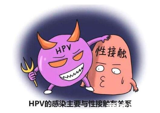hpv阳性是什么意思，人乳头瘤病毒(hpv)不一定是性传播