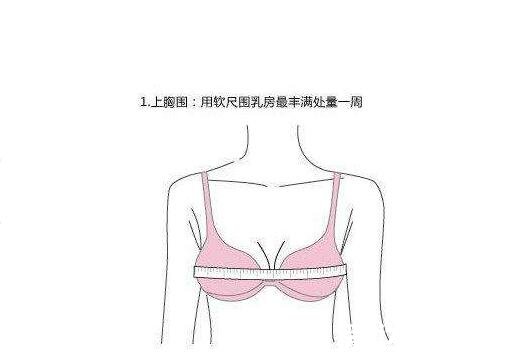 胸围怎么测量才标准，上胸围在乳房最高点开始