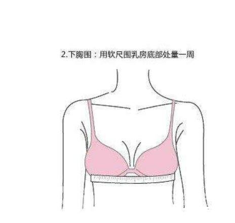 胸围怎么测量才标准，上胸围在乳房最高点开始