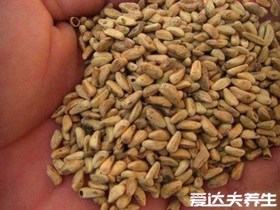 石榴籽能吃吗，石榴籽的功效与作用很丰富强大(能吃)