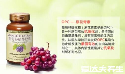葡萄籽的功效与作用，除了美容养颜还能保护血管