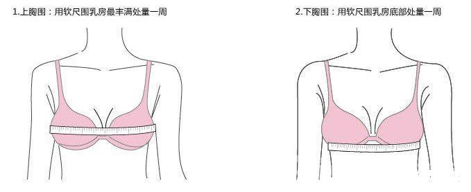 超全女性胸围尺码表，教你准确测量自己的胸围