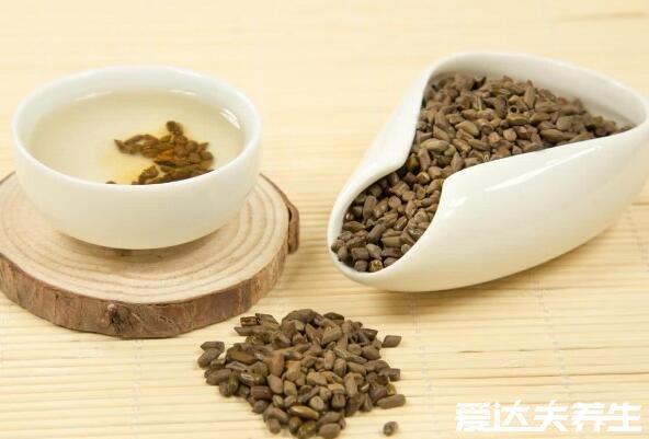 决明子茶的功效与作用，能够全身去脂减肥效果超级好