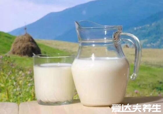 骆驼奶粉的功效和作用，强身健体营养价值是牛奶的n倍
