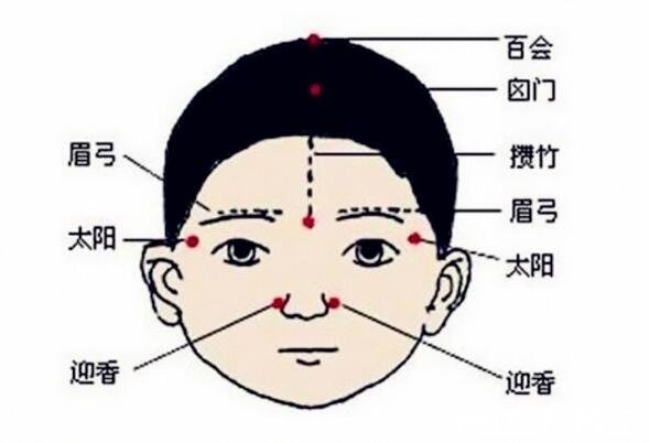 人体头部经络图穴位图，让你精准找到自己头部的穴位