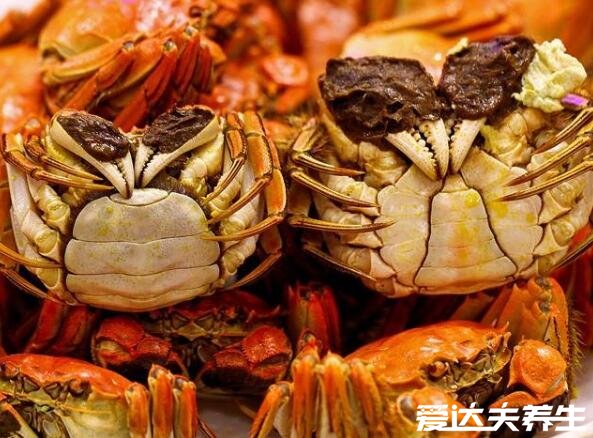超详细螃蟹食物相克表，一定要知道吃螃蟹的禁忌(乱吃会中毒)