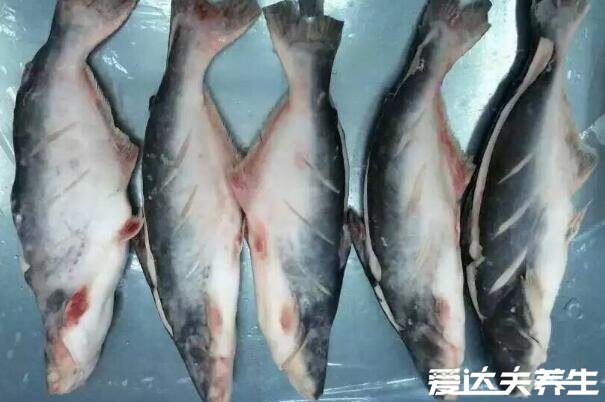 巴沙鱼为什么不能吃，处理干净的新鲜巴沙鱼可以吃(附挑选方法)