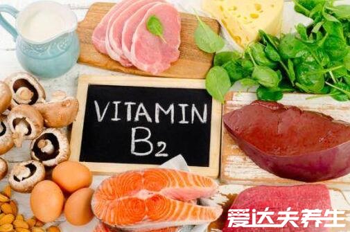含维生素b的食物，猪肝/鹅肝维生素b含量非常多（维生素b家族解析）