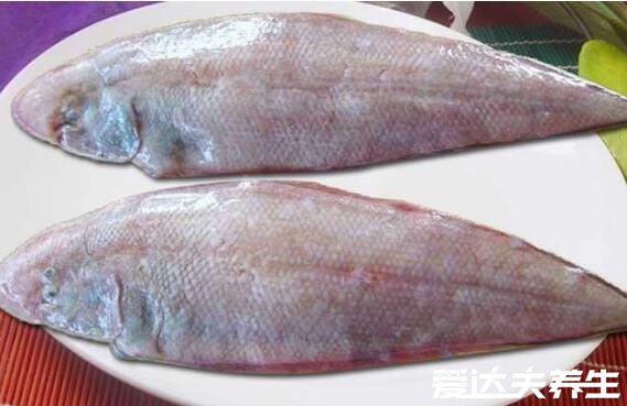 巴沙鱼和龙利鱼的区别，4大区别让你一眼就能分清两种鱼