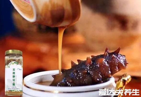 海参的简单最佳吃法，泡发的熟海参蘸酱油吃味美营养全