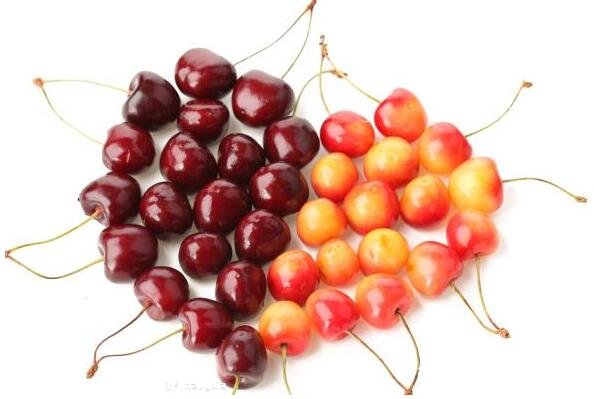 车厘子和樱桃的区别是同一种水果吗，同种水果的不同品种和产地