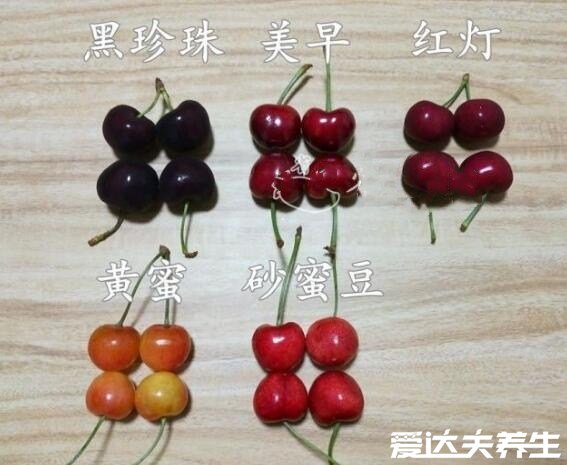 车厘子和樱桃的区别是同一种水果吗，同种水果的不同品种和产地