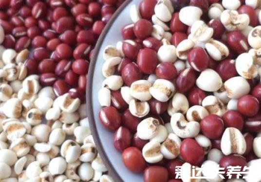 红豆薏米快速减肥法，红豆消肿/薏米排毒保证一周瘦十斤