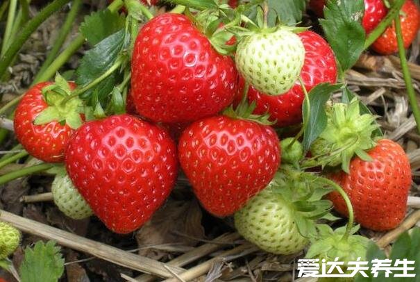 草莓的功效与作用，不仅可以美容护肤还可预防多种疾病