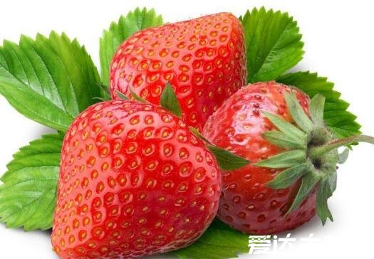草莓是什么季节的水果，春末夏初应季水果才健康(附挑选方法)