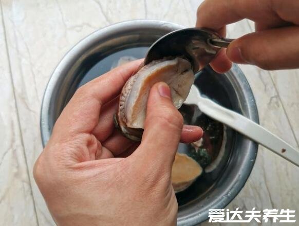 鲍鱼的做法及清洗方法，超详细步骤让你轻松做出蒜蓉粉丝鲍鱼