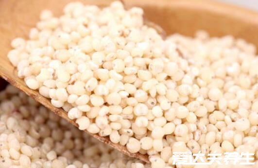 高粱米的功效与作用，不仅可以降血压血糖还能强身健体/减肥瘦身