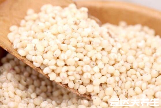 高粱米的功效与作用，能补脑补钙强健骨骼预防癞皮病