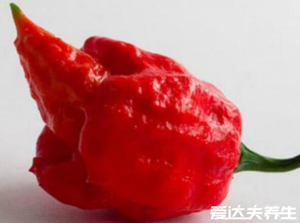 世界上最辣的辣椒，辣椒X辣度高达318万真的会辣死人