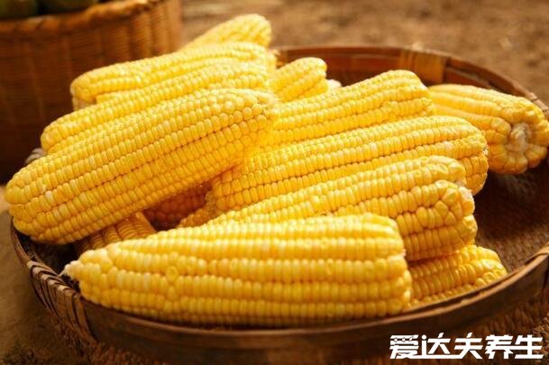 玉米什么时候传入中国的，明代时期从美洲地区引进(附玉米功效)