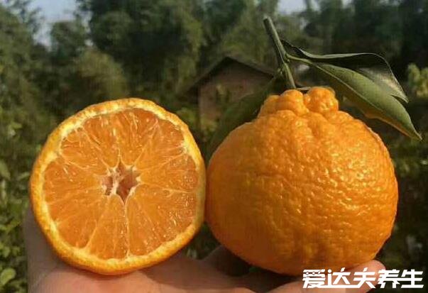 椪柑和丑橘的区别，外观口感等都有区别(附购买技巧)