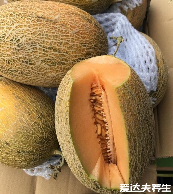 不同品种的哈密瓜图片，哈密瓜的热量仅为34大卡减肥可以吃