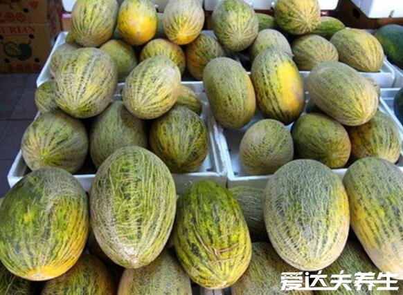 不同品种的哈密瓜图片，哈密瓜的热量仅为34大卡减肥可以吃