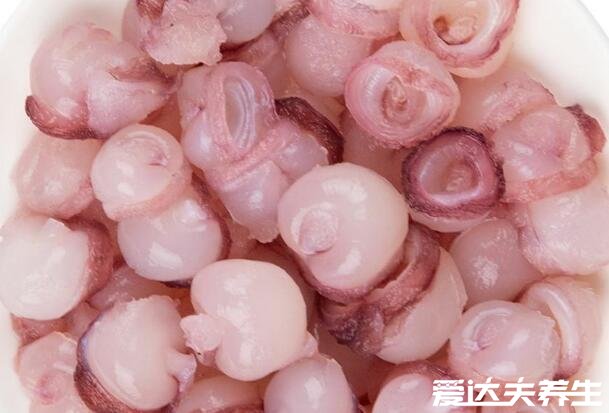 海灵菇是什么东西是鱿鱼的吸盘吗，海灵菇营养价值与功效