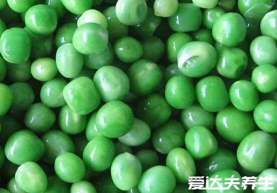 雪豆又叫什么，雪豆的功效与作用禁忌及图片(可食用豌豆)