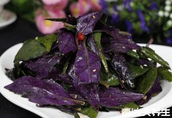 紫背天葵的功效与作用及禁忌，美容养颜/补充营养/清热解毒(含图片)