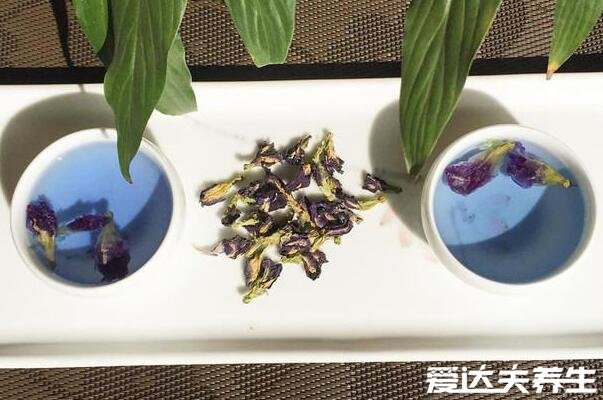 蓝蝴蝶的功效与作用及食用方法，做成花茶喝有抗衰老等4大功效(图片)