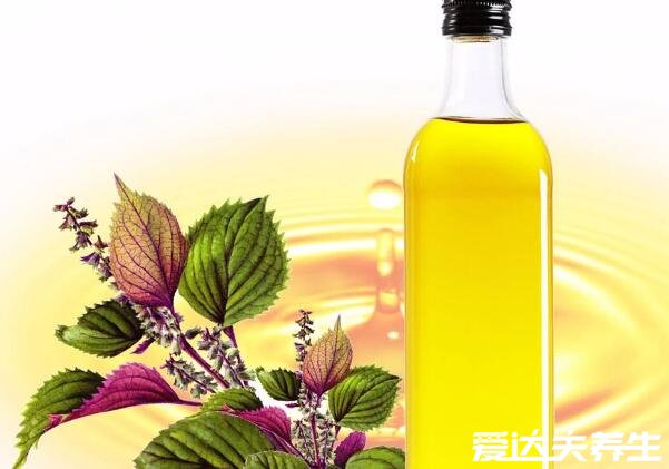 紫苏籽油的功效与作用及食用方法，紫苏籽油怎么吃