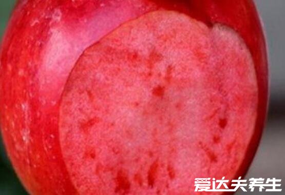 红肉苹果的功效与作用及口感，不仅汁多肉甜十分好吃且营养丰富