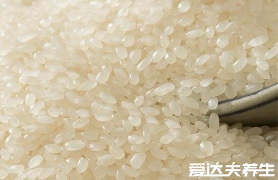 粳米是什么米，粳米的功效与作用禁忌介绍(粳米就是大米)