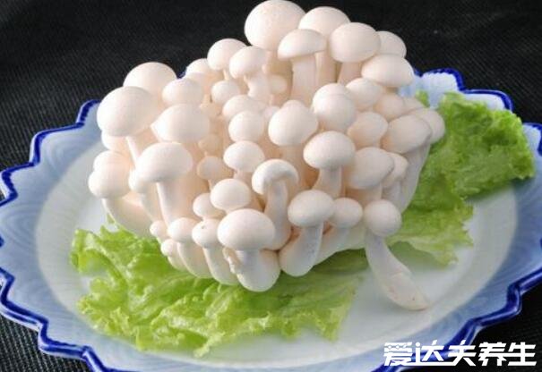 白玉菇和海鲜菇的区别，白玉菇的作用(图片)