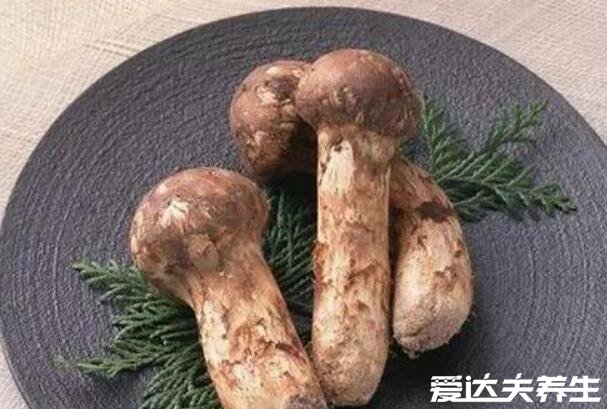 这7种菌菇最适合煲汤，香菇/金针菇/猴头菇/松茸的滋补功效明显
