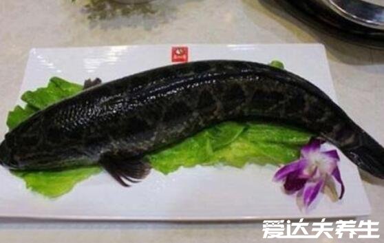 制作酸菜鱼用什么鱼好吃，草鱼细腻/黑鱼刺小但都比不过最后一种