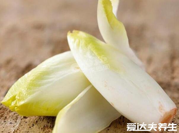 菊苣菜怎么吃,功效作用有四点(排毒养颜/补充营养/健胃消食/降血糖)