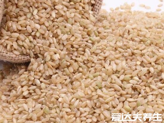 糙米是什么米，糙米与大米区别介绍(去壳未加工稻谷米)